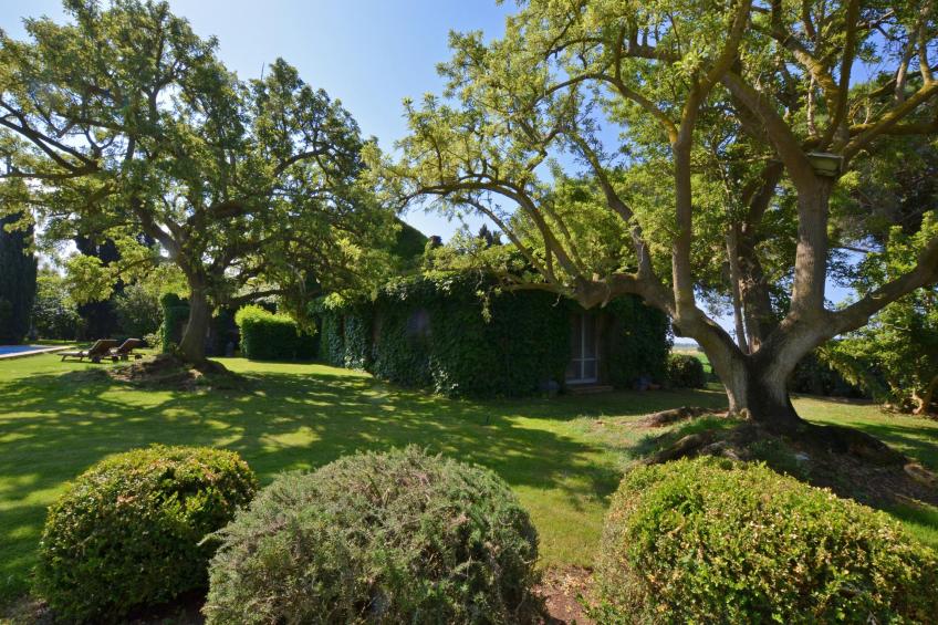 Casale Teresa - foto 36