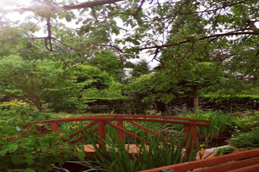 Ferienresort Bad Bentheim 23 - foto 28