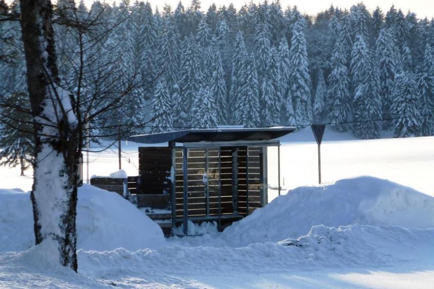 Chalet Désir, Lajoux - foto 33