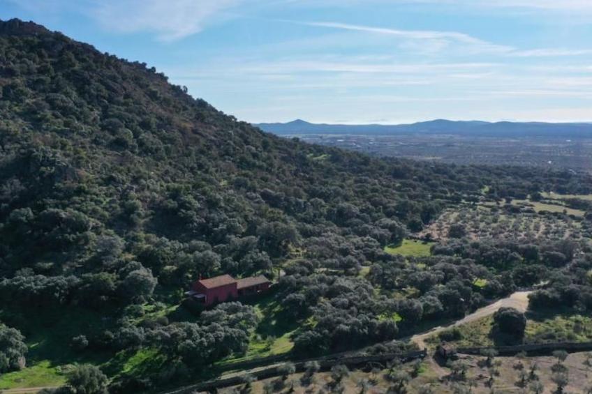 Das Cortijo auf der Finca al-manzil - foto 47