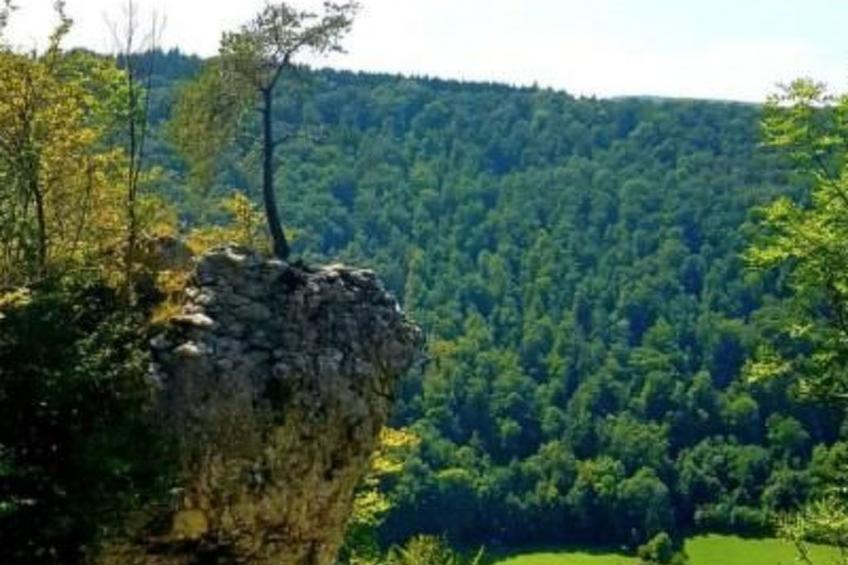 Ferienwohng. Susanne - foto 27