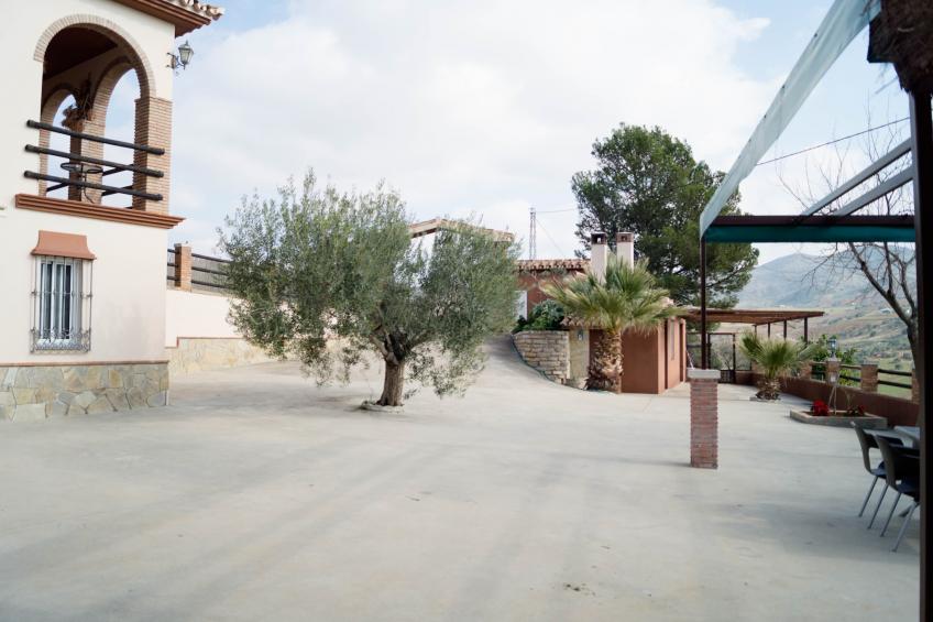 Casa Los Olivos - foto 14