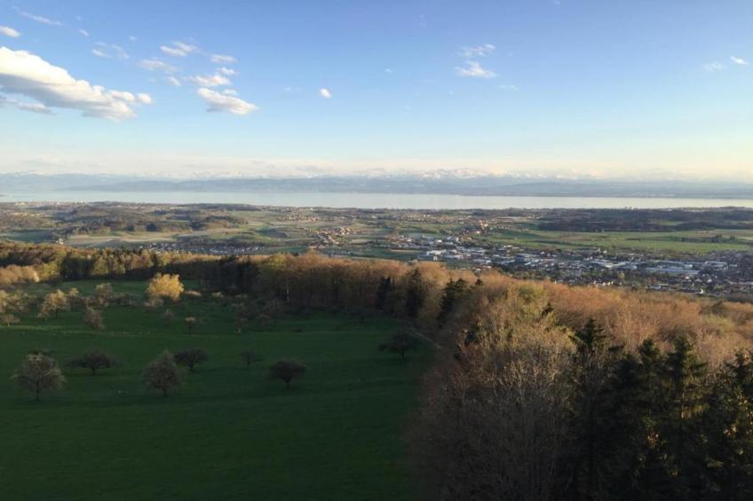 Ferienwohnung Markdorf - foto 29