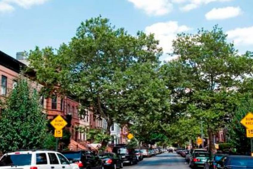 "Bedstuy Belle" - foto 6