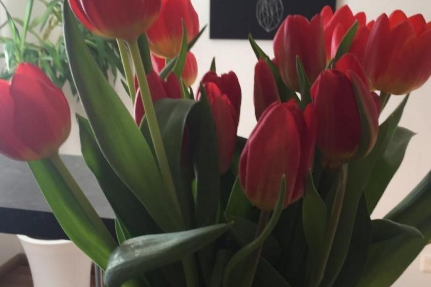 mit Blick auf die Berge - foto 35