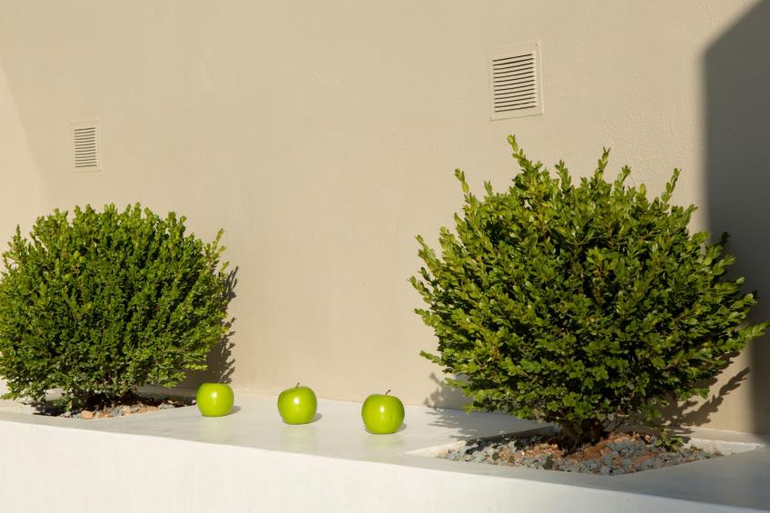 Villa mit eigenem Garten und in der Nähe von Agios Nikitas - foto 29