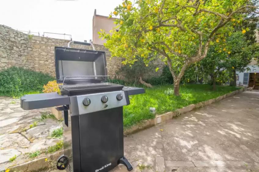 Josep Sanxo De La Jordana 12 - foto 28