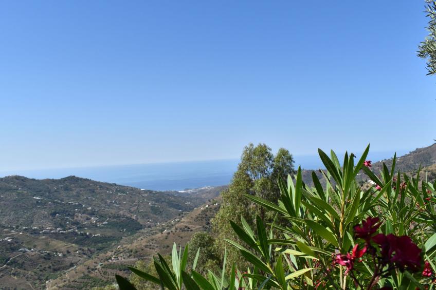 Finca Algarabia mit privatem Pool - foto 23