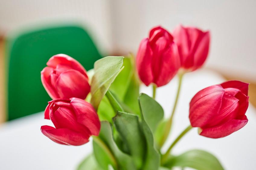 Komfortables Ferienhaus in purer Natur - foto 24