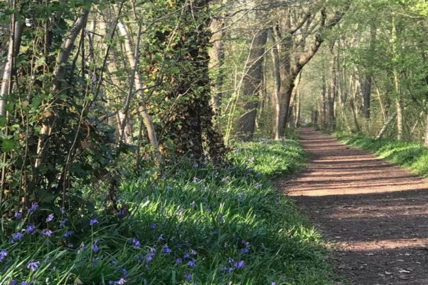 Ruyghe Hoeck 4 - foto 19