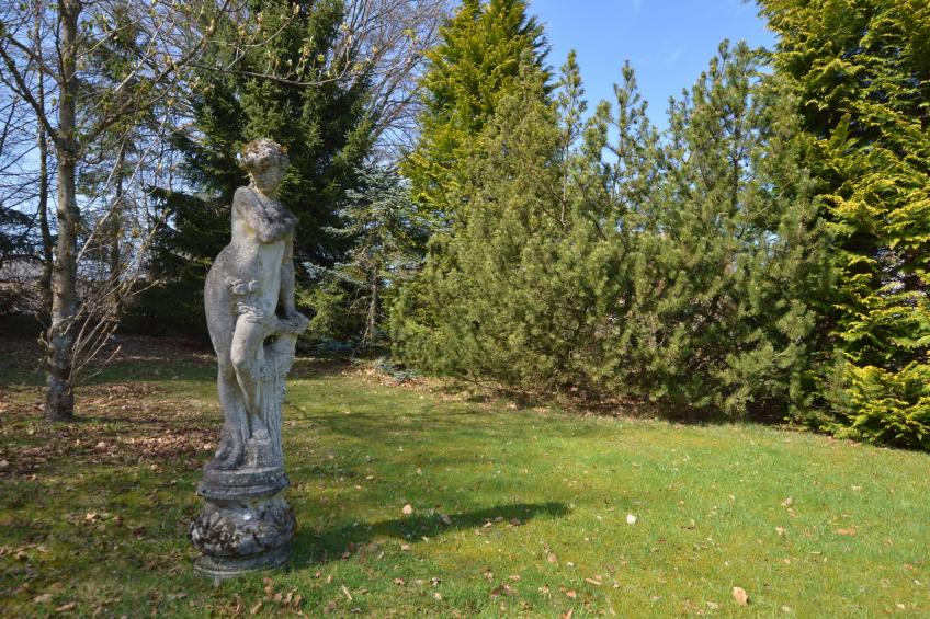 Le Chalet des Robinsons - foto 25