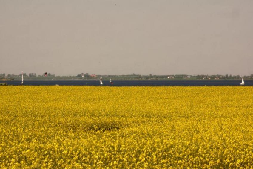 Zierow Z4A - foto 25