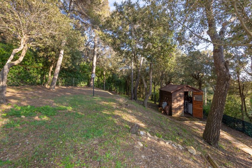 La casetta immersa nel verde - foto 47