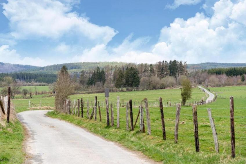 Petite Reine - foto 26