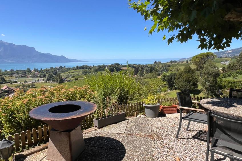 Vigneronne, Vigne - foto 14