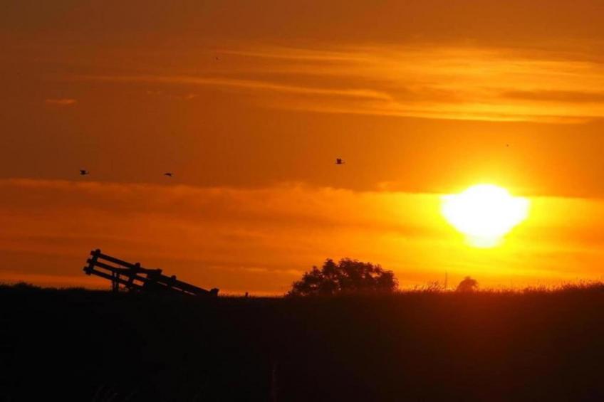 Standaard 224 - foto 15