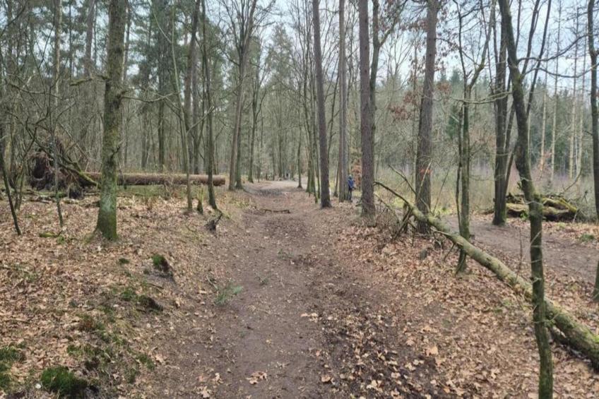 Bungalowpark Hoenderloo - foto 39