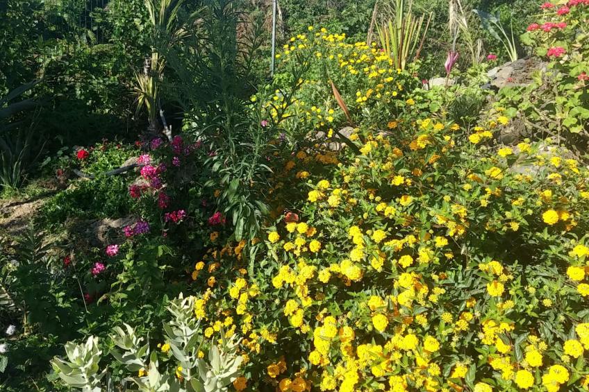 Ecolodge Teneriffa: Entspannung und Natur mit Panoramablick - foto 9