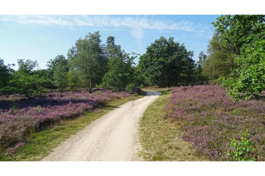 6 persoons Luxe Safaritent - foto 26