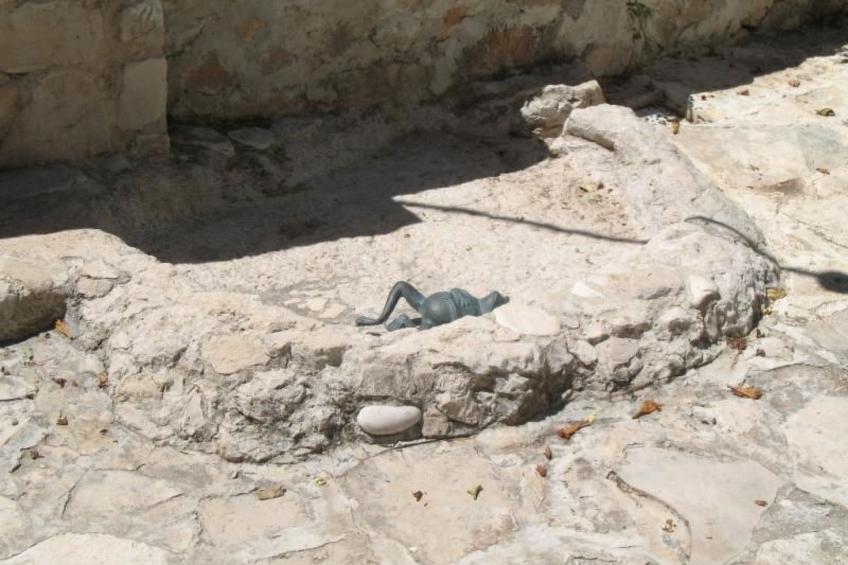 Wohnung in Zavala mit schönem Garten - foto 14