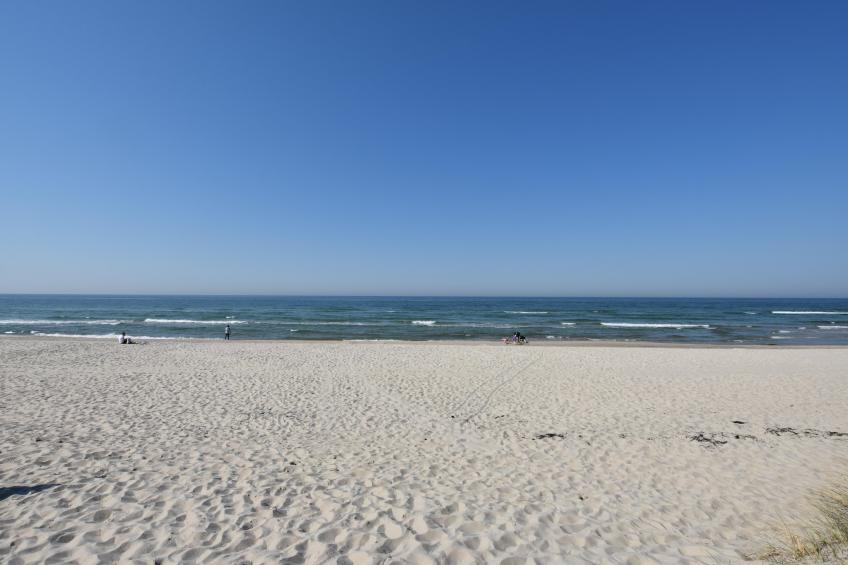 Seeadler 6 - foto 34