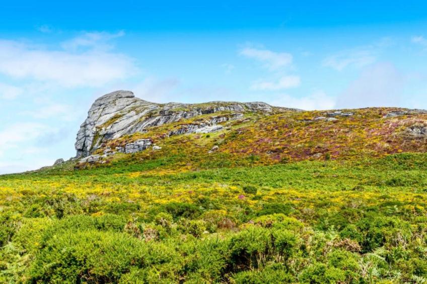 Little Dunley - Holly - foto 26