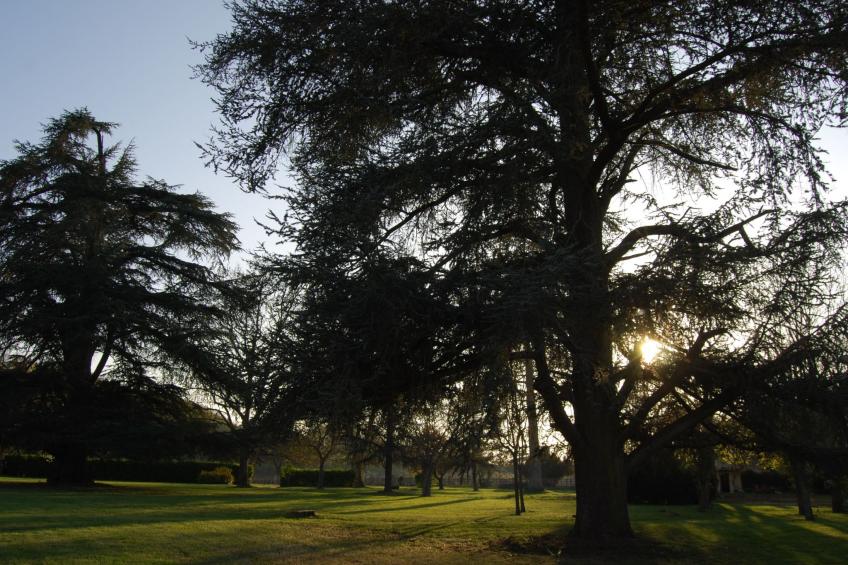 Schloss mit Überlaufpool an der Dordogne - foto 30