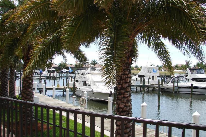 Tropical Palms - hier sind die Momente anders als sonst - foto 31