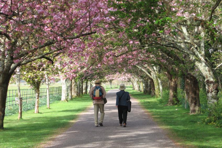 Grove Lodge No 5 (2 Bed) - foto 24