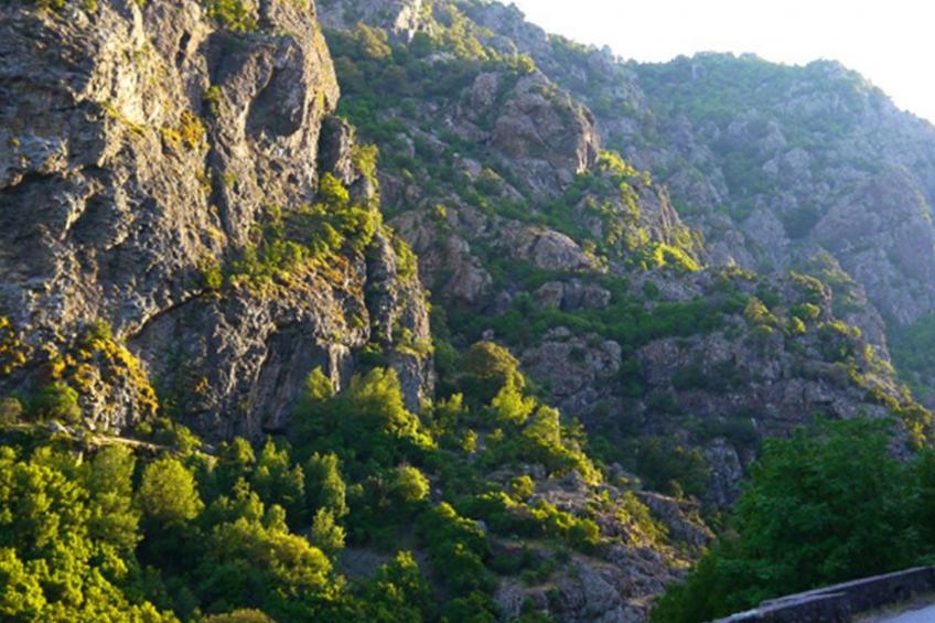 Haus mit Garten, Grill und Terrasse - foto 17