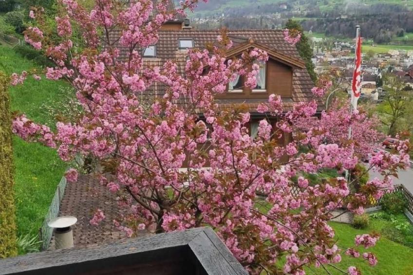 Charmantes Chalet Apartment mit Aussicht - foto 34