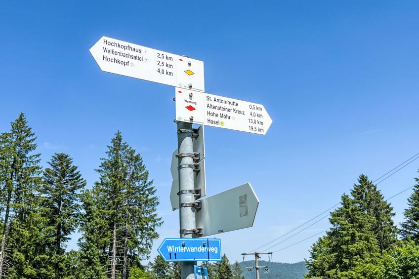 Tannenblick - foto 35