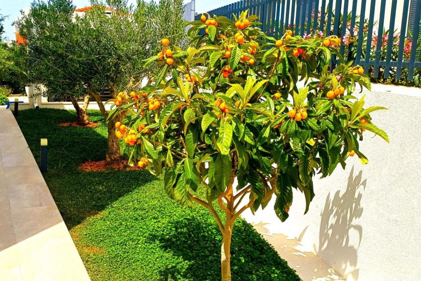 Luxuriöse Villa Dolce Vita direkt am Meer mit privatem Pool und Parkplatz - foto 23