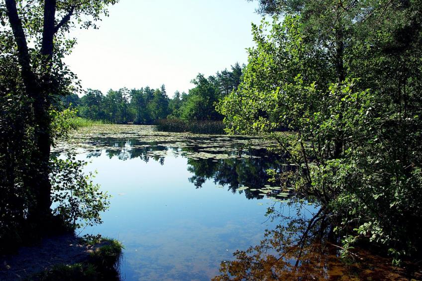 Holzhaus Juhas - foto 34