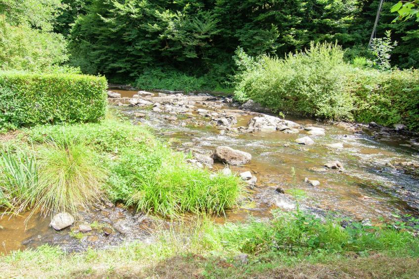 Moulin du Bouc - foto 36