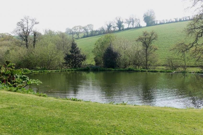 Oak Tree Lodge - foto 22