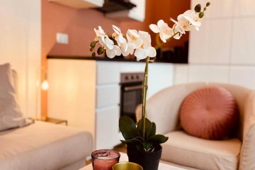 Appartements à Le Mont Dore - foto 8