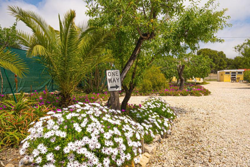 Finca Bilou, wo sich der Urlaub wie ein Heimkommen anfühlt - foto 42