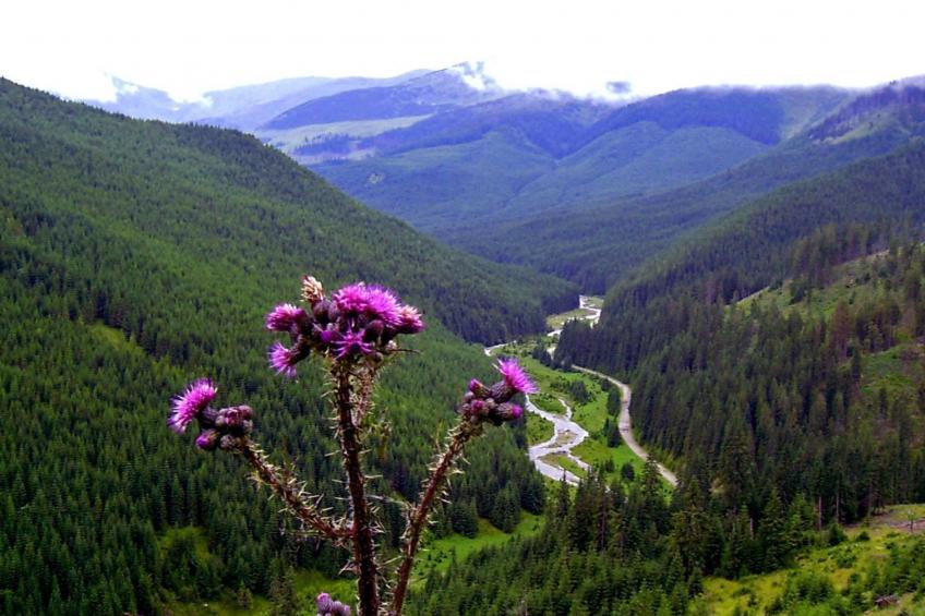 Cozo Fantu - foto 13