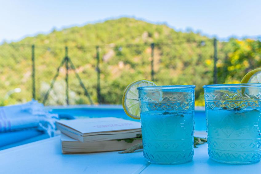 Ländliches Haus Cal Xamora - foto 8