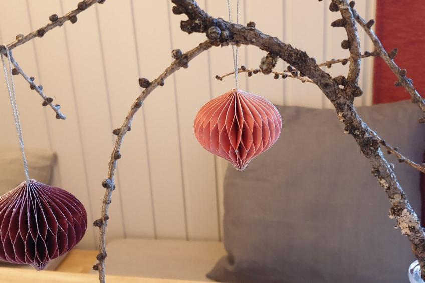 Gemütliche Wohnung in Geidorf mit Garten, Grazer Dom in der Nähe - foto 21