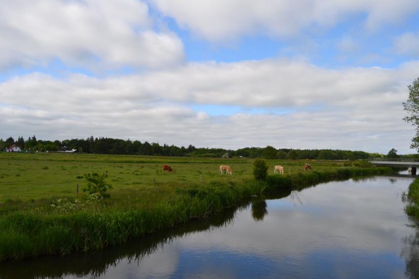 "Josina" - 32km from the sea in Western Jutland