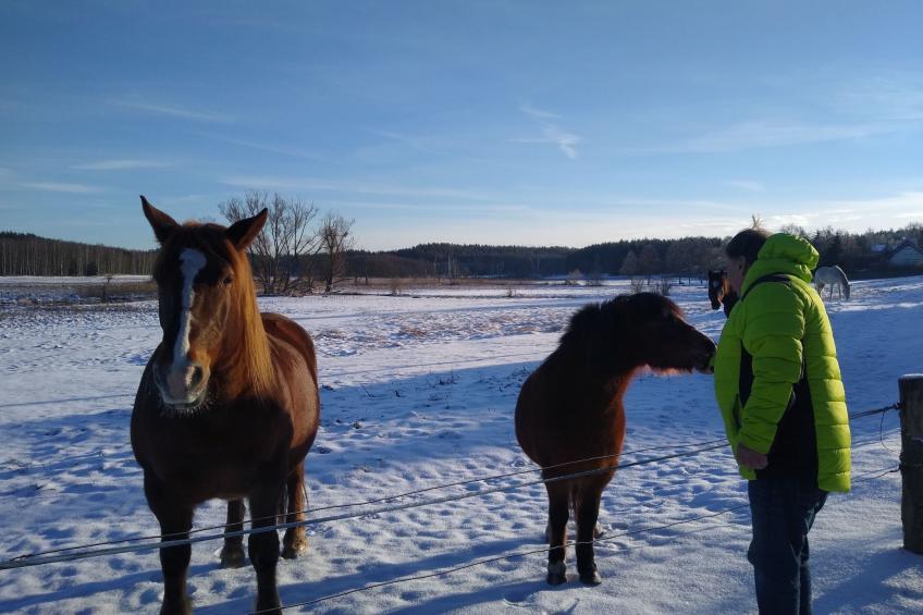 Vogelecke - abseits des Trubels und der Hektik - foto 28