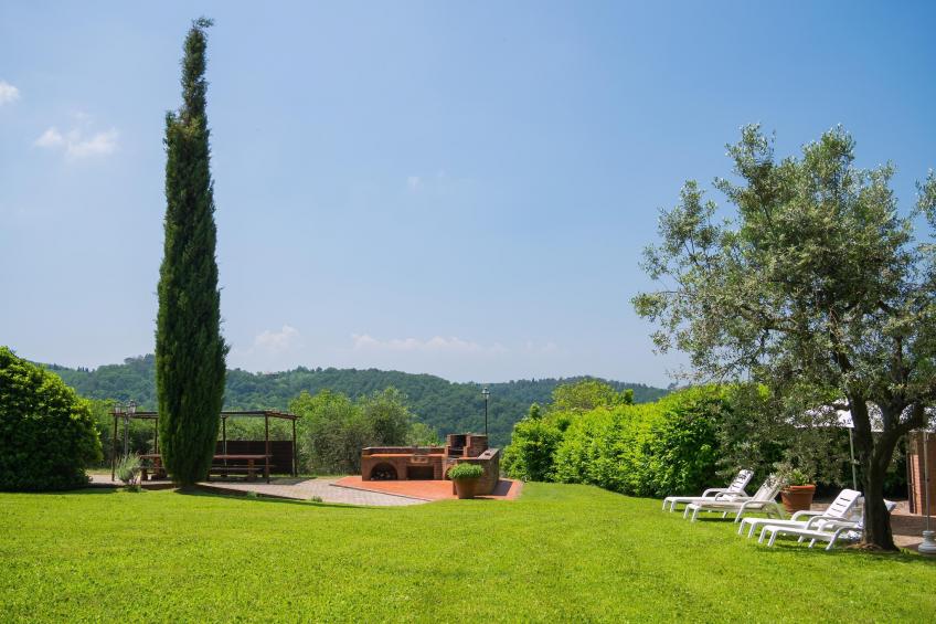 Ortensia - foto 35