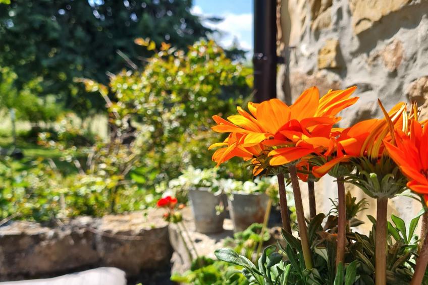 Von der Festung zum Meer" - Ihr Zuhause in San Leo - foto 21
