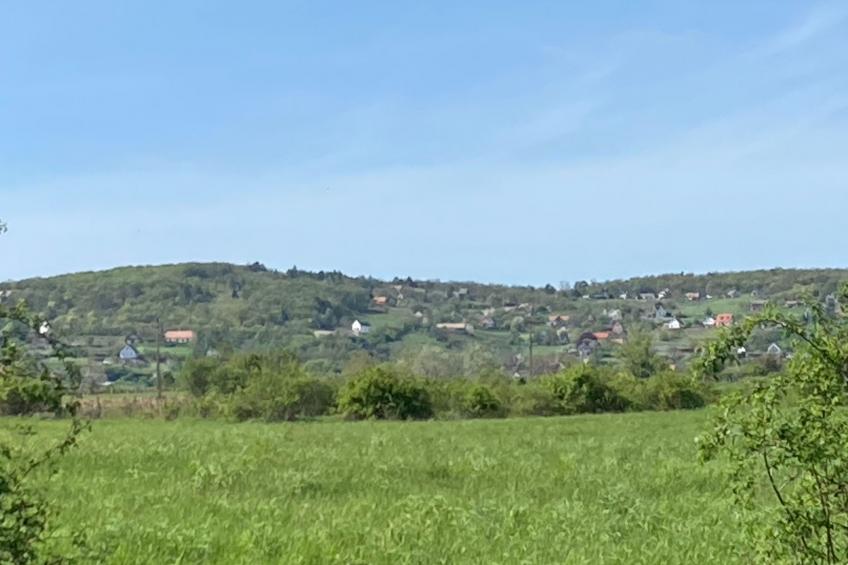Ancsi - foto 4