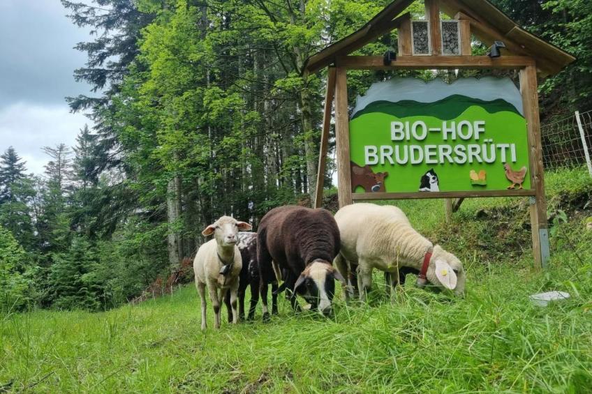 Bio-Hof Brudersrüti - foto 12