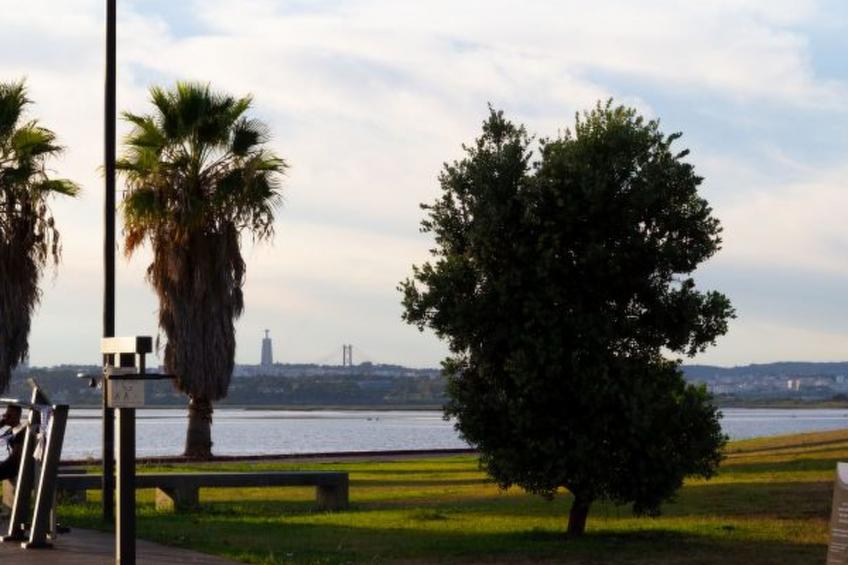 Seixal Bay Apartments - Loft - foto 27