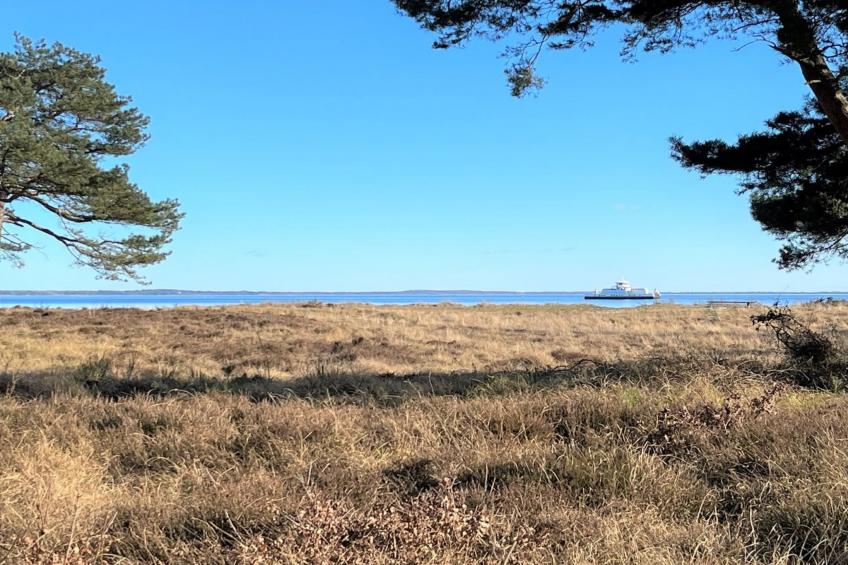 "Toska" - 100m to the inlet in Sealand - foto 42