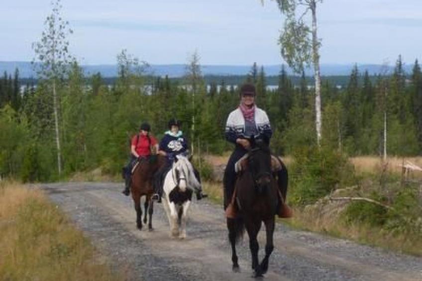 in Sorsele mit Garten und Grill - foto 8